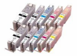 Tinte PI100-311 (10er-Pack)