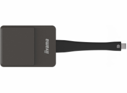 iiyama WP D002C - Adaptér pro streamováná síťová média - stříbrná/černá