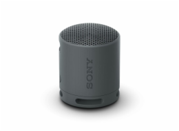 SONY SRS-XB100B