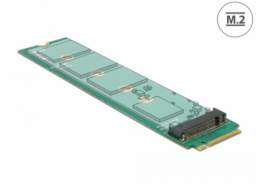 Delock Adapter M.2 Key M male > M.2 Key A slot