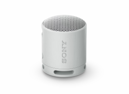SONY SRS-XB100H