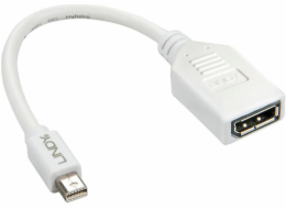 Lindy DisplayPort Mini - DisplayPort AV adaptér bílý (41021)