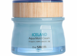 SAEM Iceland Aqua Moist Cream hydratační krém na obličej 60ml