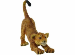 COLLECTA LEV MLÁDĚ STRAGING