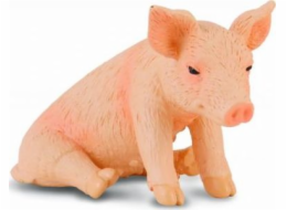 COLLECTA SEDÍCÍ PIGANTI