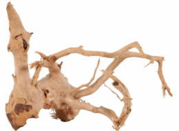 Zolux ZOLUX japonský kořenový pavouk Wood 10-30 cm Zolux ZOLUX japonský kořenový pavouk Wood 10-30 cm