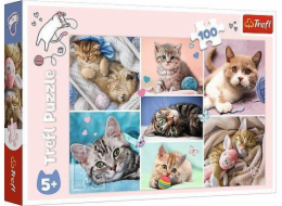 Trefl Puzzle 100 dílků V kočičím světě