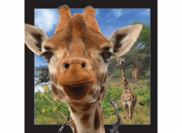 3D žirafa pohlednice stojí za to ponechat