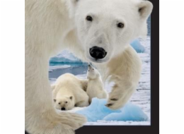 3D magnet Lední medvěd s mládětem, který stojí za to