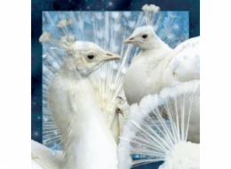 3D magnet White Peacock, který se vyplatí ponechat