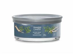 Svíčka ve skleněném válci Yankee Candle, Pobřežní cedr, 340 g