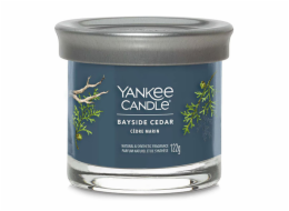 Svíčka ve skleněném válci Yankee Candle, Pobřežní cedr, 122 g