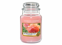 Svíčka ve skleněné dóze Yankee Candle, Vyšisovaná meruňková růže, 623 g