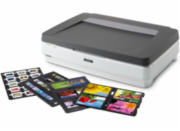 Epson Expression 13000XL PRO