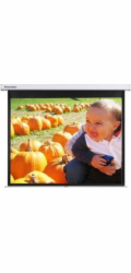 Optoma plátno DS-3100PMG+, 100", 4:3