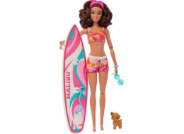  Panenka Barbie Surf & Accy