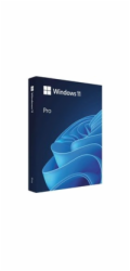 Windows Pro 11 64-bit Czech USB