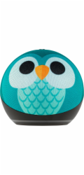Amazon Echo Dot 5 Owl Design
