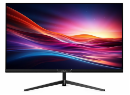 MISURA 27" LED P23CM27BFA01/ VA/ 1920x1080 (FHD)/ 3000:1/ 1ms/ 300 cd/m2/ HDMI/ DP/ REPRO/ VESA 100x100/ černý