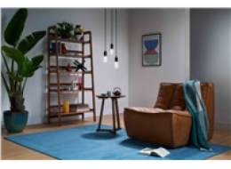 PHILIPS WiZ Wi-Fi BLE ST64 E27 6,3 W - barevná žárovka, nastavitelná teplota, stmívatelná