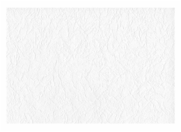 Vinylová&nbsp;tapeta&nbsp;696200