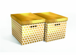 Krabice&nbsp;Domoletti,&nbsp;320&nbsp;mm&nbsp;x&nbsp;320&nbsp;mm&nbsp;x&nbsp;440&nbsp;mm,&nbsp;2&nbsp;ks.