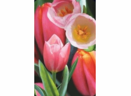 Cenná mini 3D karta Tulip (180178)
