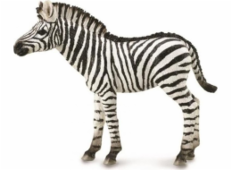 Collecta figurka ZEBRA FOAL