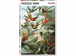 Piatnik Puzzle 1000 - Haeckel, Kolibříci PIATNIK