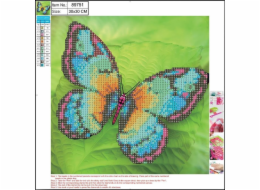 Centrum Diamond mozaika 5D 30x30cm Butterfly 89751