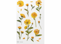 Appree Dekorativní květinové samolepky Marigold