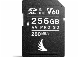 Angelbird AV PRO SD MK2 V60 SDXC karta 256 GB Class 10 UHS-II/U3 V60 karta (AVP256SDMK2V60)