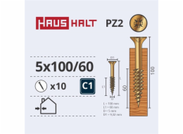 Vruty do dřeva Haushalt, 5 x 100/60 mm, ZN, PZ2, 10 ks.