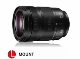 Panasonic LUMIX S 24-105 mm F4 MACRO O.I.S.
