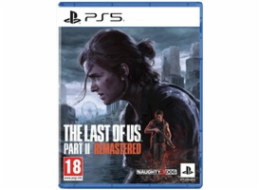 PS5 hra THE LAST OF US PT II RMST