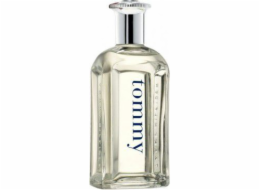 Tommy Hilfiger Tommy EDT 100 ml