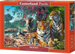 Castorland Puzzle 3000 Tiger Sanctuary