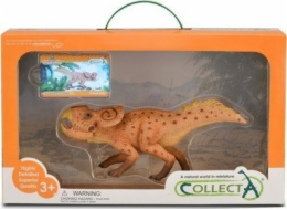 Collecta COLLECTA PROTOCERATOPS figurka V BALENÍ (DELUXE)