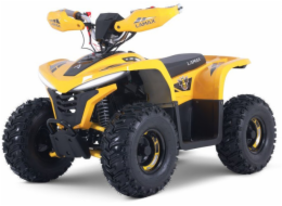 Lamax eBumbleBee ATV60M