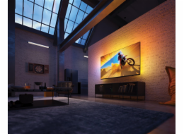 TELEVIZE 65PUS8079/12 PHILIPS