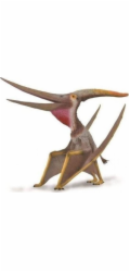 Figurka Collecta  PTERANODON MĚŘÍTKO 1:15