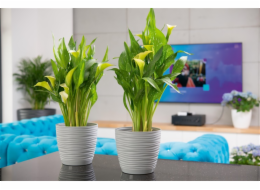 Hrnec Form Plast Sahara Petit, O 22,5 cm, šedý