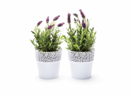 Hrnec Lamela Rosa 657-05, plast, H 15 cm, bílý