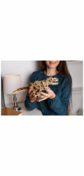 Ugears 3D dřevěné mechanické puzzle Tyrannosaurus Rex