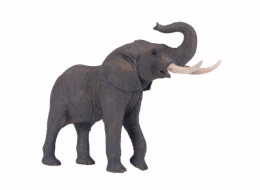 Mojo Slon africký