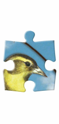 Galison Oboustranné puzzle Ptačí symfonie 250 dílků