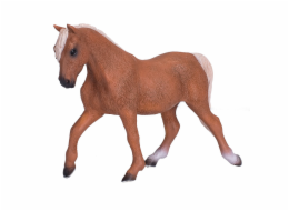 Mojo Kůň morgan palomino