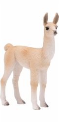 Mojo Lama mládě