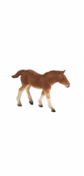 Mojo Suffolk Punch hříbě
