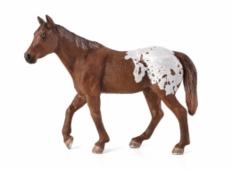 Mojo Appaloosa hřebec blanket